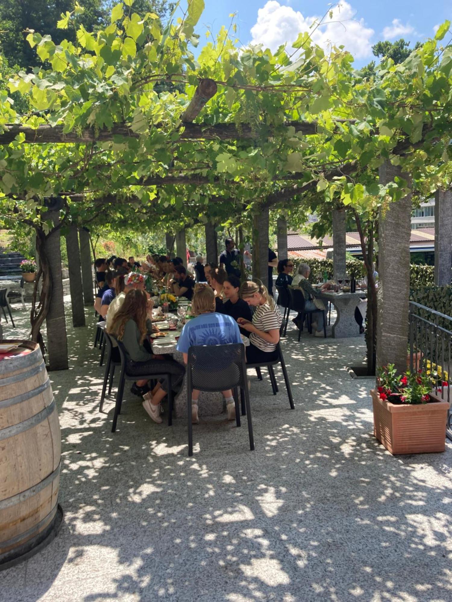 Hotel Ristorante Grotto Serta Lamone Kültér fotó